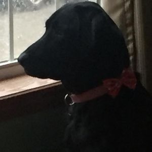 Meet your Posher, Eileen