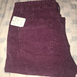 Free People Burgundy Corduroy Pant Size 28