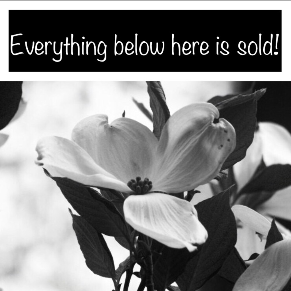🌸🌸