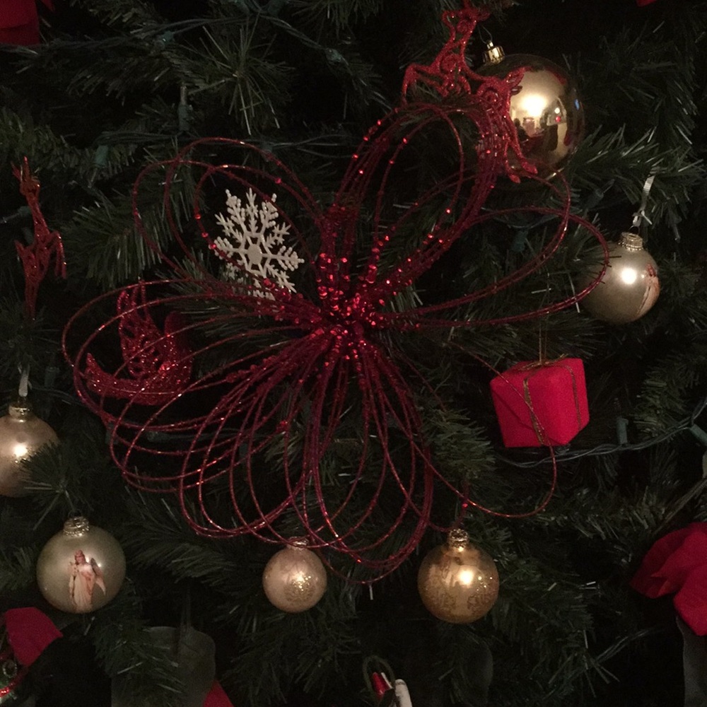 Meet your Posher, Diane