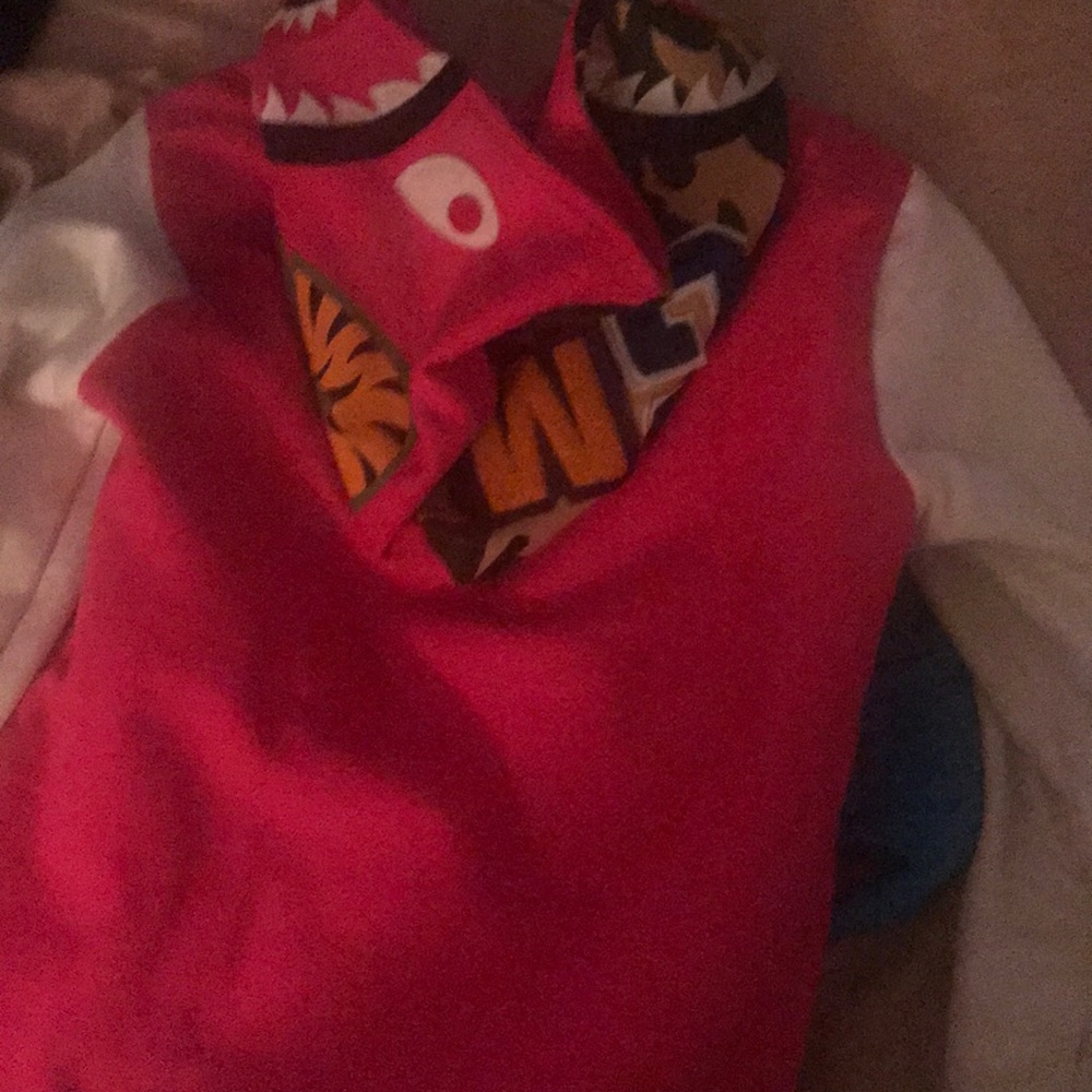 Bathing Ape Jacket