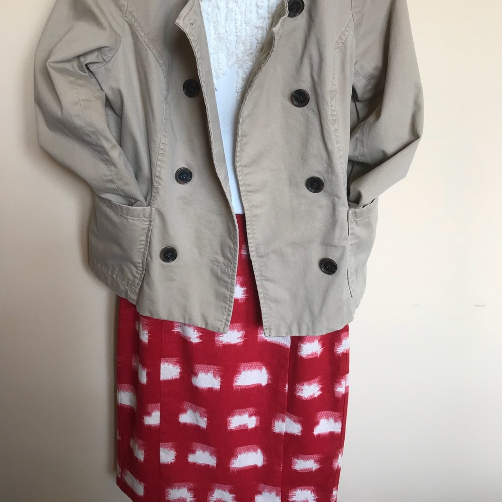 Cory Lynn Calter Anthropologie  Ikat Pencil Skirt
