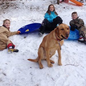 Meet your Posher, Bridgett