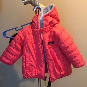 Toddler Patagonia jacket