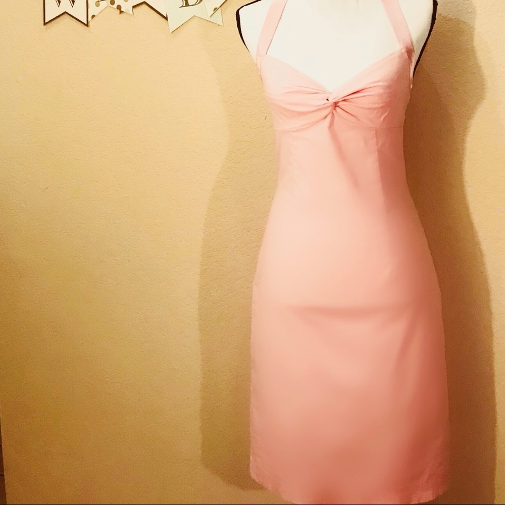 Retro 1950’s Pink Dress by Express