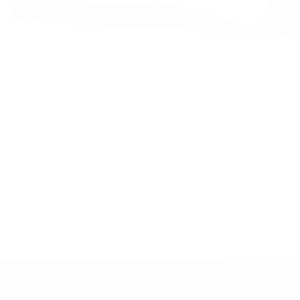 Meet your Posher, Tyson