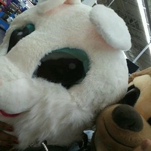 Meet your Posher, Rene