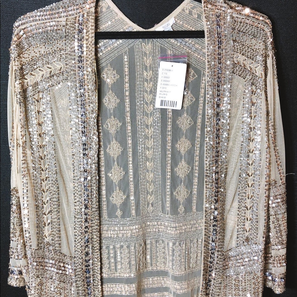 Designer Embroidered mesh blazer