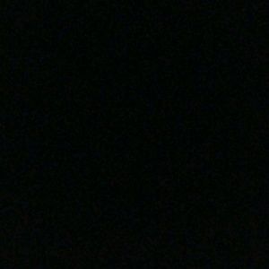 Meet your Posher, Liz