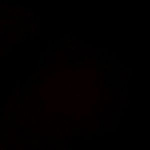 Meet your Posher, Lance