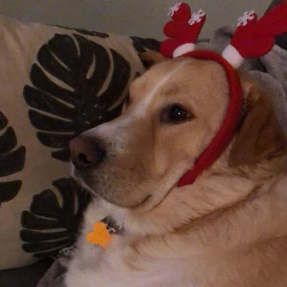 Meet your Posher, Leigh ann - Picture 1 of 1