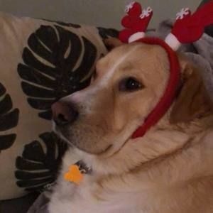 Meet your Posher, Leigh ann