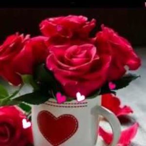 Meet your Posher, Laila