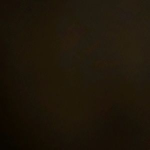 Meet your Posher, Xavier