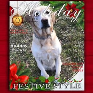 Meet your Posher, Karen