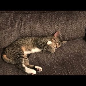 Meet your Posher, Michelle