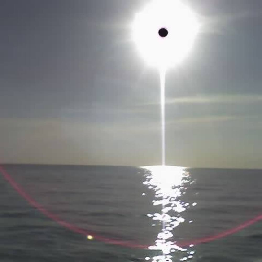 Meet your Posher, Audra