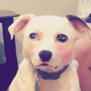 Meet your Posher, Kayley