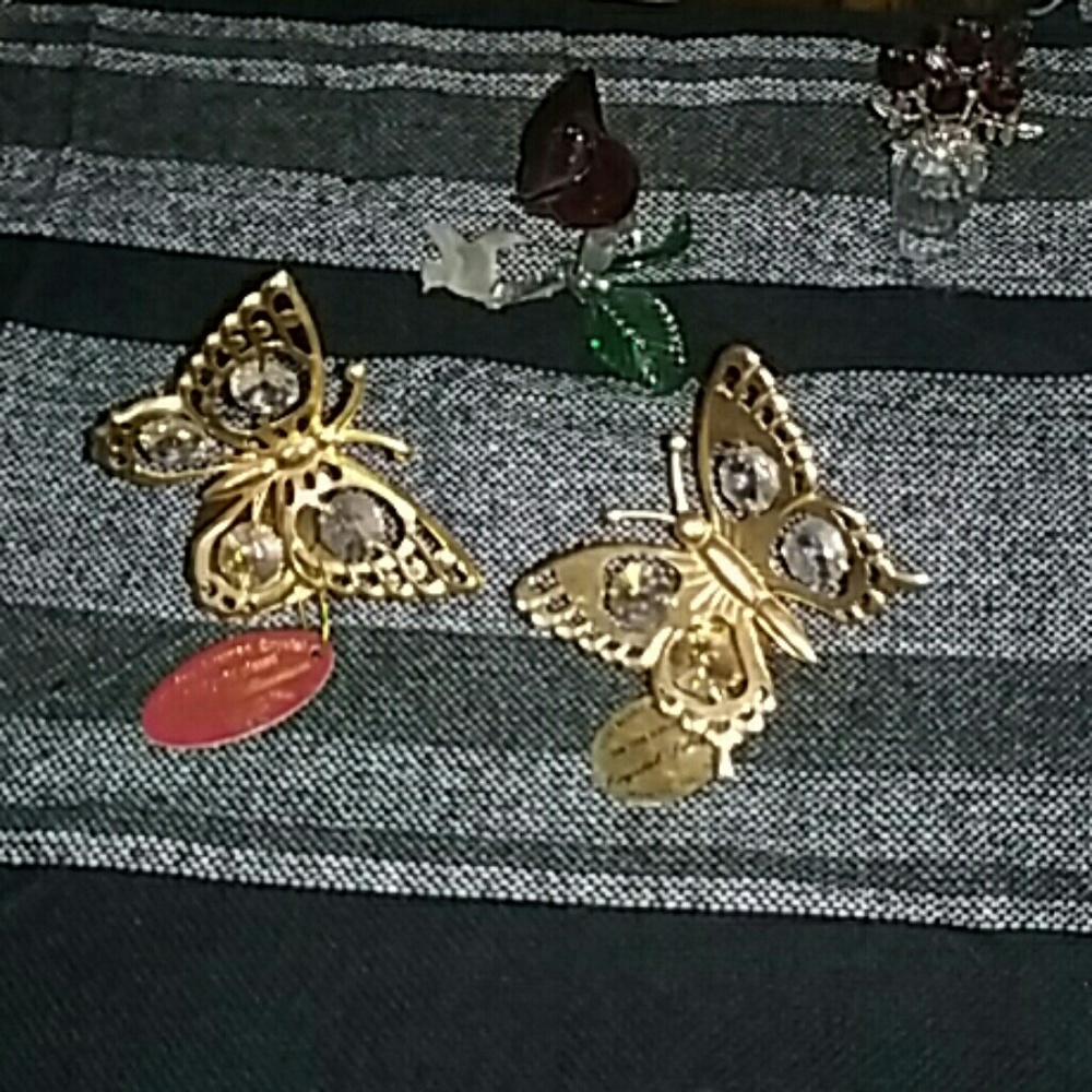 1 Beautiful butterfly