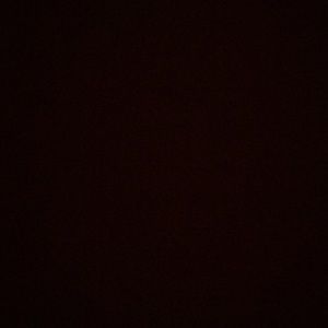 Meet your Posher, Ronnie