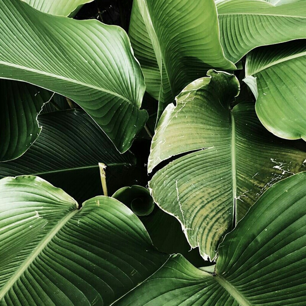 "Add to bundle" for an offer or make me an offer!