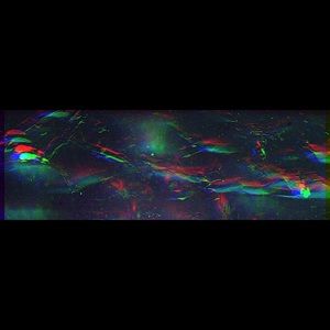 Meet your Posher, Gavin