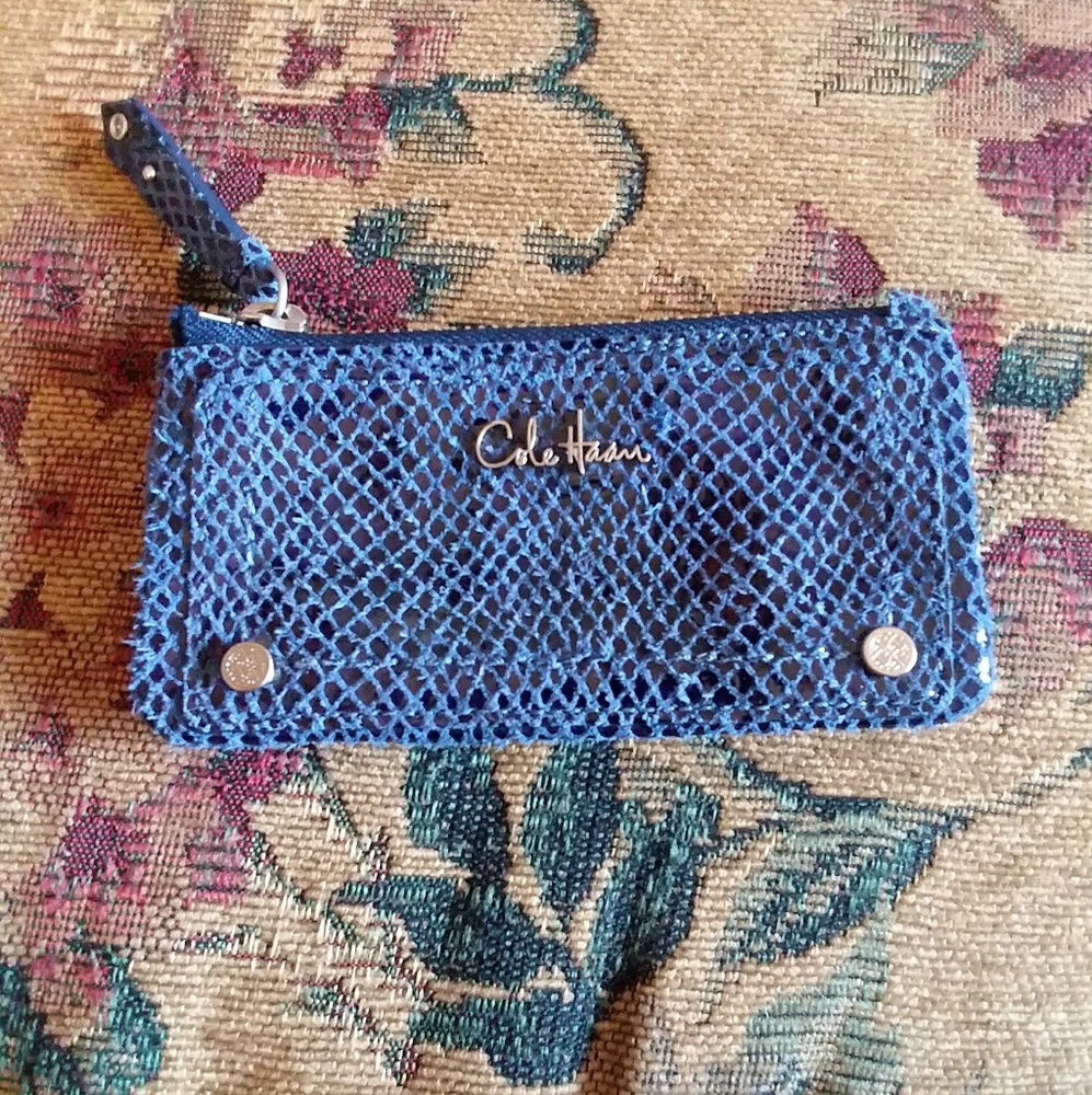 Blue suede snake Cole Haan coin wallet