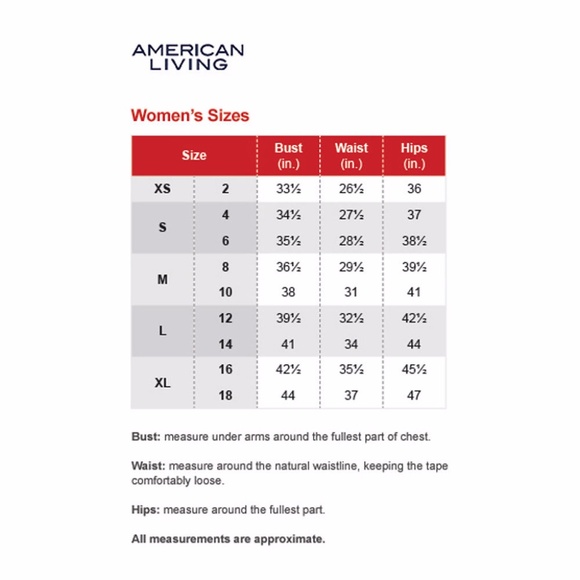 💃Price Drop💃American Living Lace-Trim Dress - Picture 4 of 4