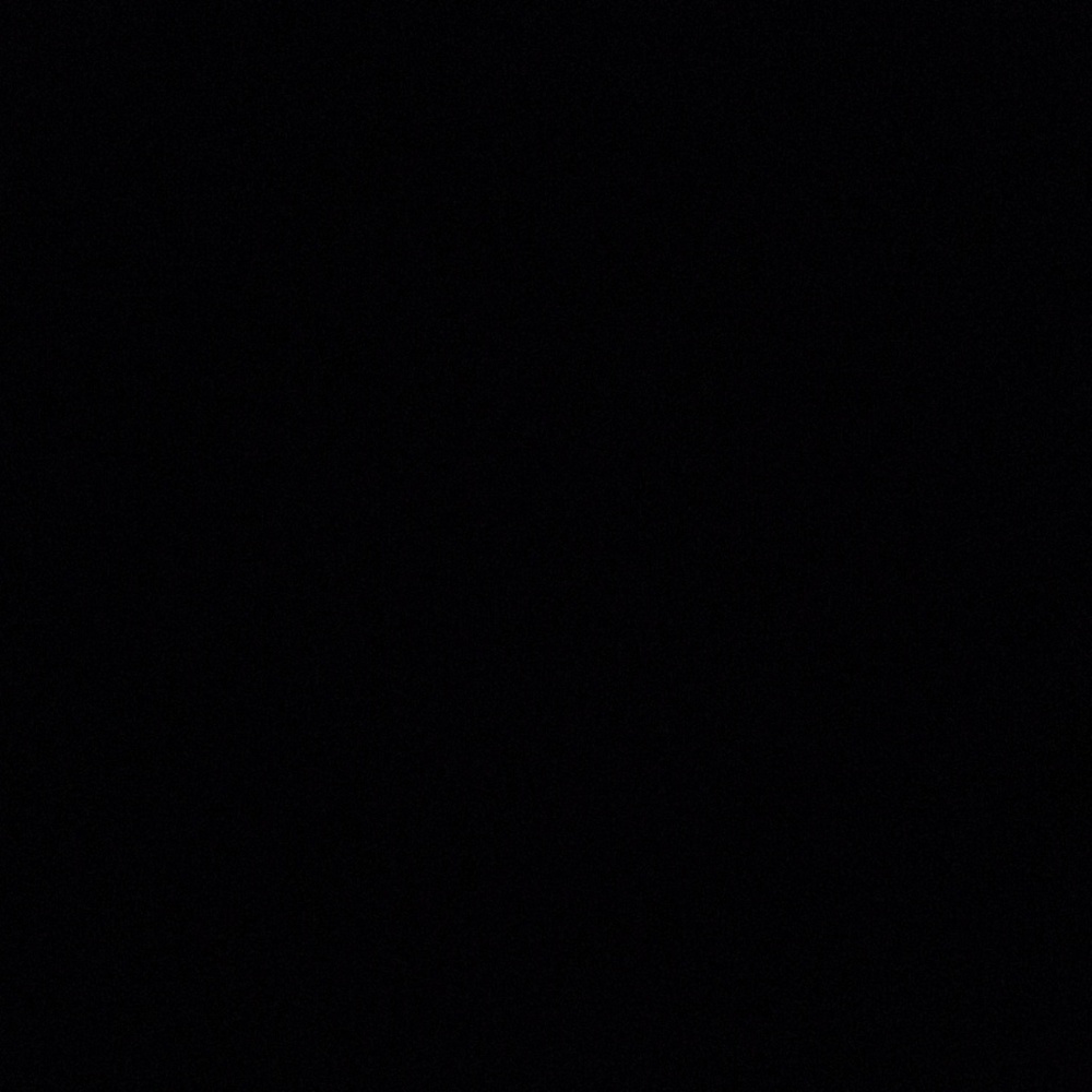 I'm looking for merch/ sweatshirts/ joggers/vans