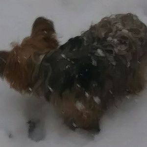 Meet your Posher, Hortencia