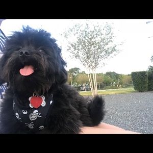 Meet your Posher, Ashley