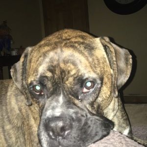 Meet your Posher, Rhonda