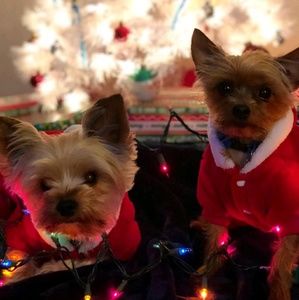 Meet your Posher, Cody