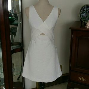 Walter Baker Dress