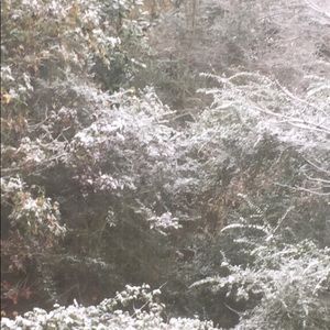 Meet your Posher, Cynthia