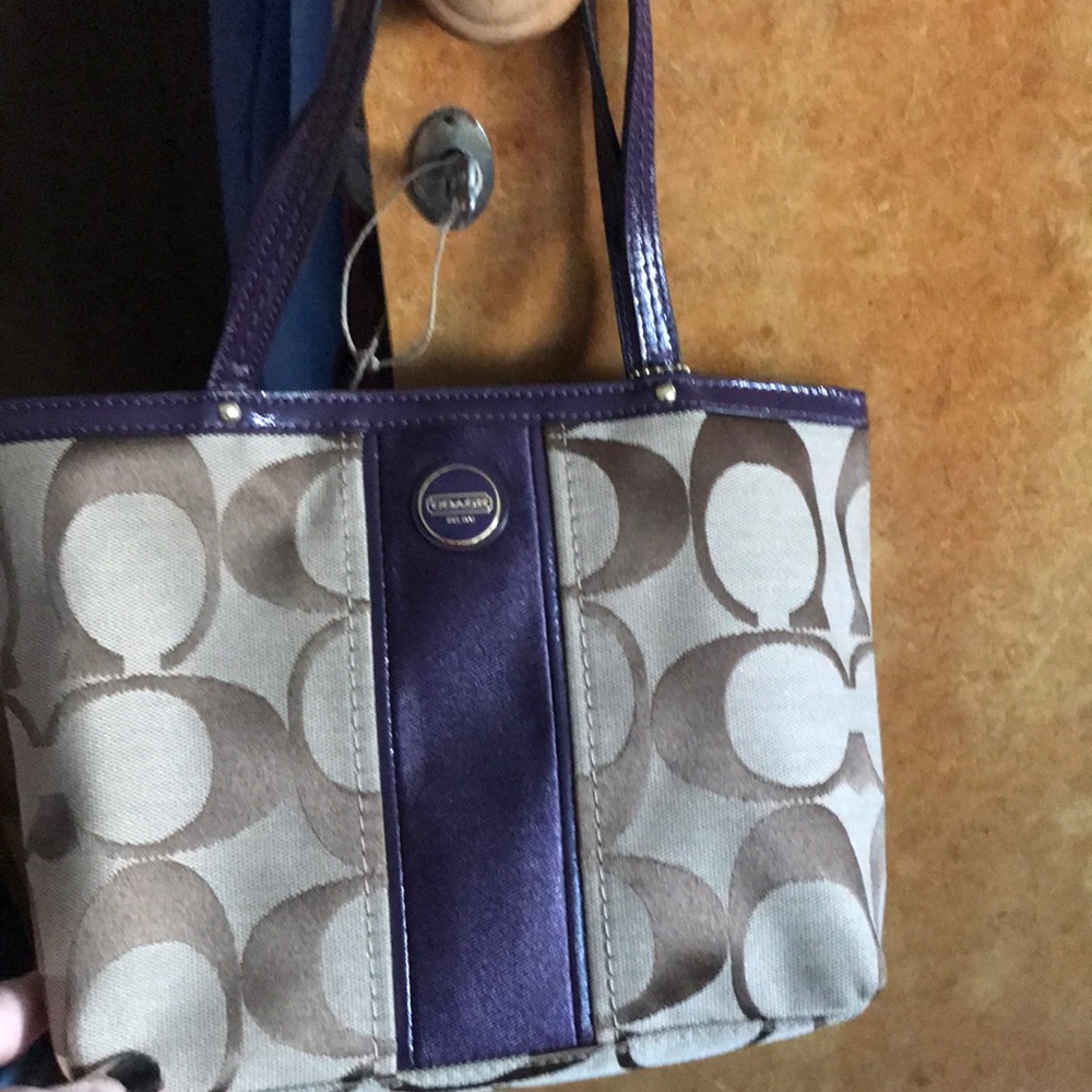small coach bag