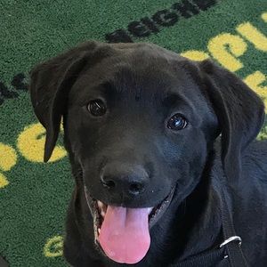 Meet your Posher, Kellie