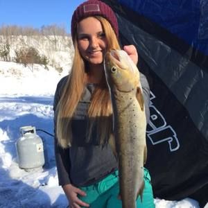 Meet your Posher, Abbi