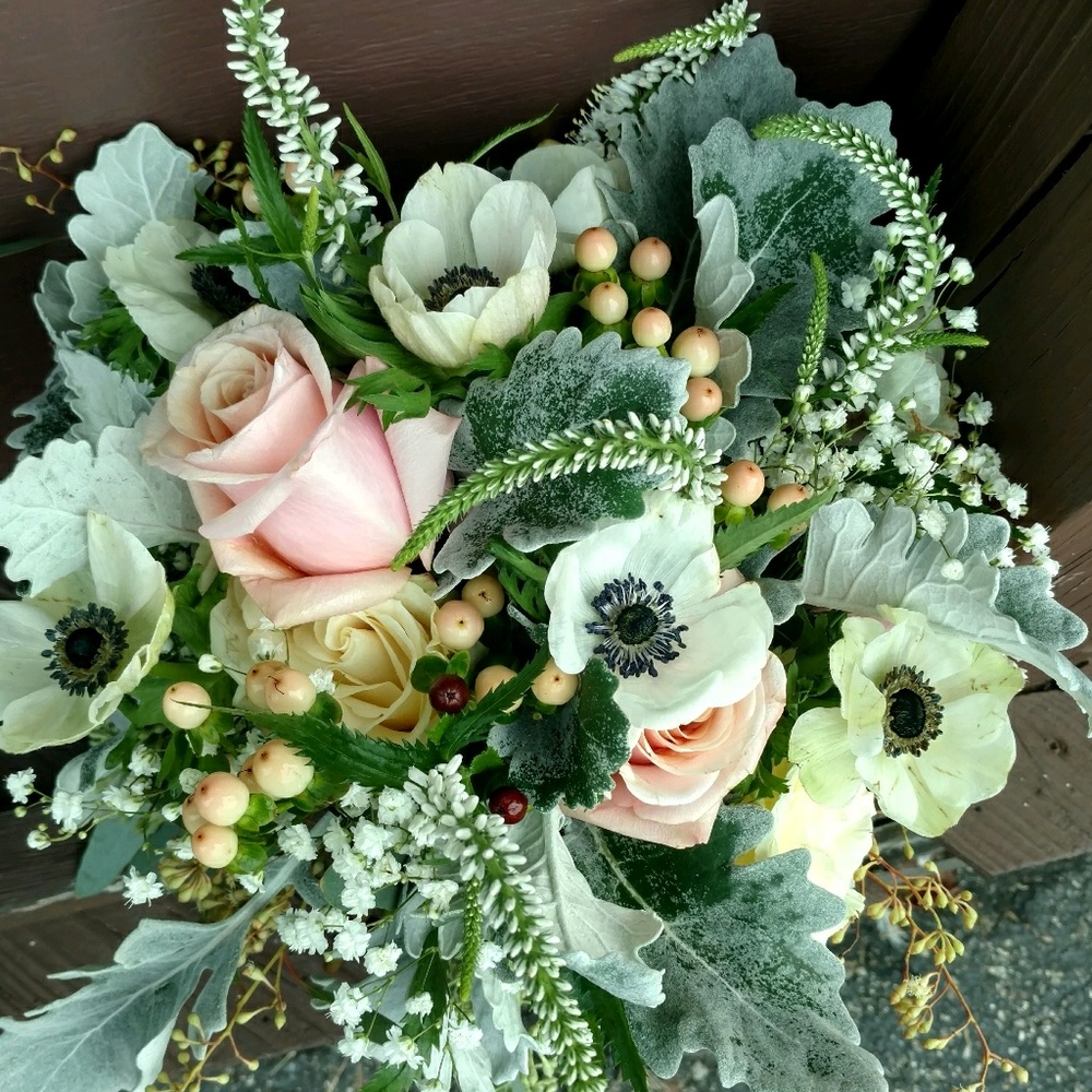 Meet your Posher, Lynne