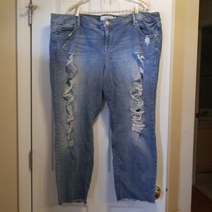 Torrid Boyfriend Jean Capris