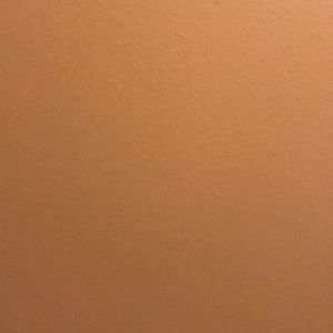 Meet your Posher, Sheryl