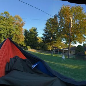 Meet your Posher, Brian