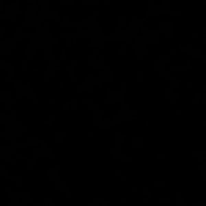 Meet your Posher, Victor