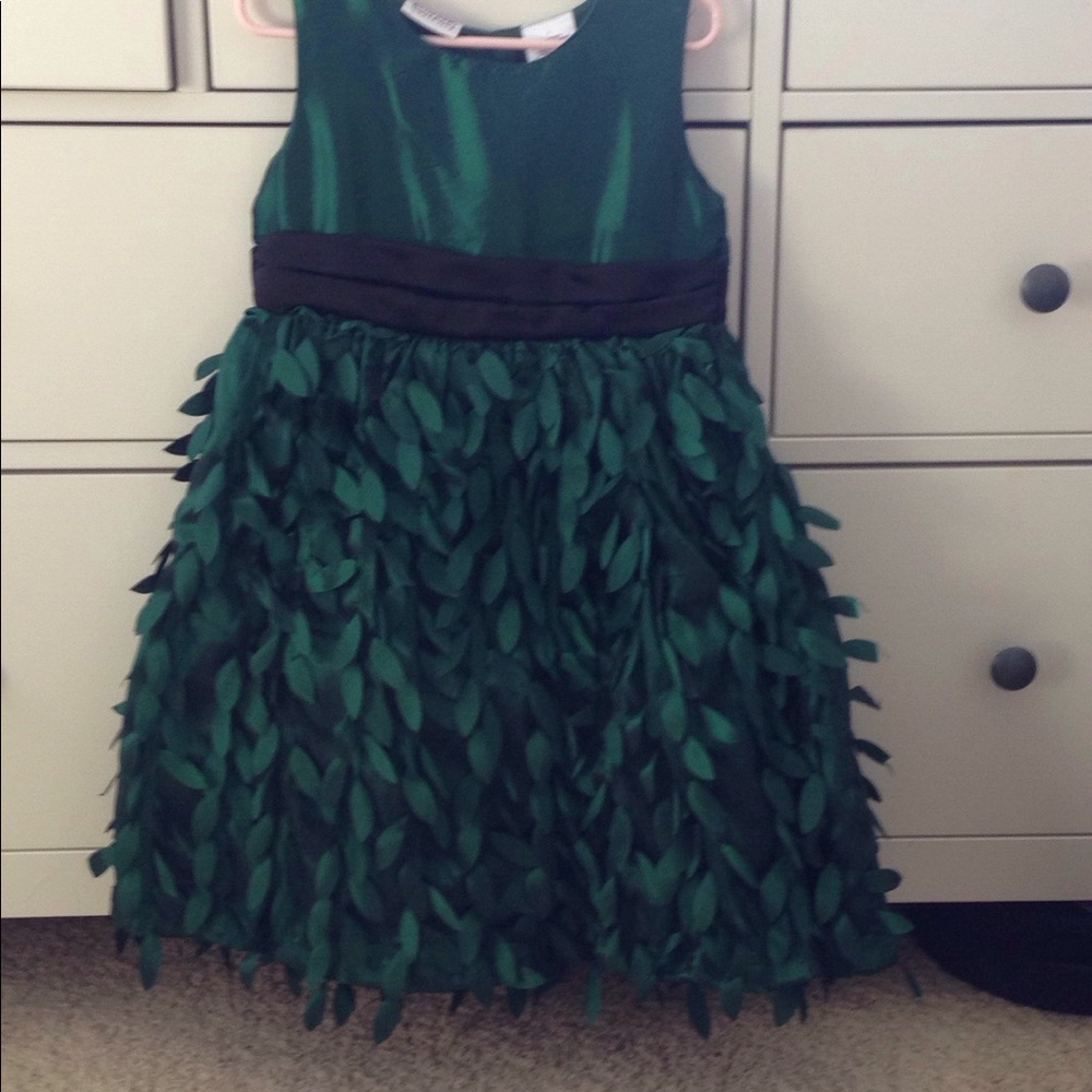 Beautiful Holiday green & black iridescent dress