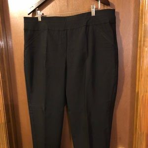 Alfred Dunner Dress Pants