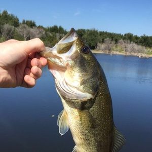 Meet your Posher, Greg