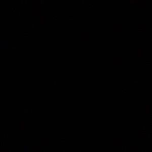 Meet your Posher, Hunter