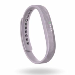 Fitbit Flex 2 Large Band