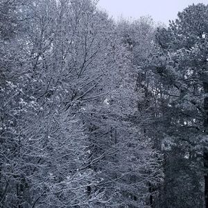 Meet your Posher, Christie