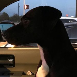 Meet your Posher, Kellen